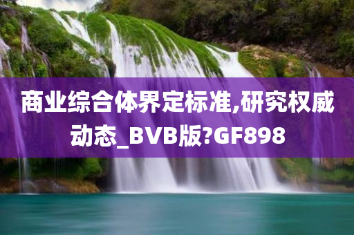 商业综合体界定标准,研究权威动态_BVB版?GF898