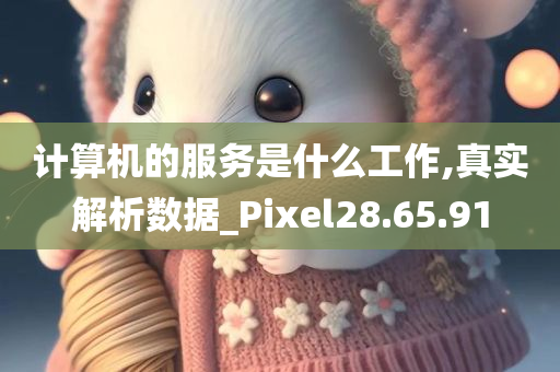 计算机的服务是什么工作,真实解析数据_Pixel28.65.91