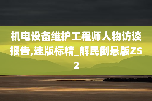 机电设备维护工程师人物访谈报告,速版标精_解民倒悬版ZS2