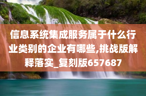 信息系统集成服务属于什么行业类别的企业有哪些,挑战版解释落实_复刻版657687