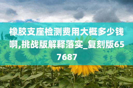 橡胶支座检测费用大概多少钱啊,挑战版解释落实_复刻版657687