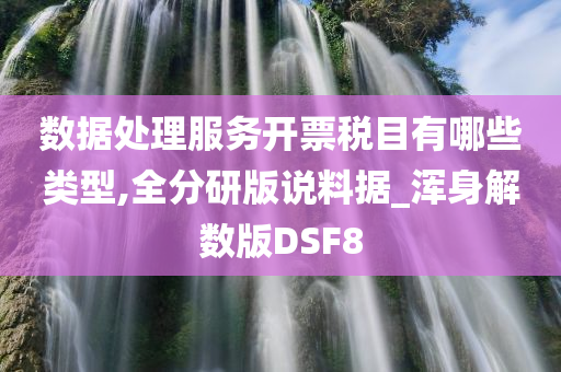 数据处理服务开票税目有哪些类型,全分研版说料据_浑身解数版DSF8