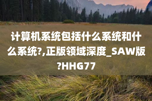 计算机系统包括什么系统和什么系统?,正版领域深度_SAW版?HHG77