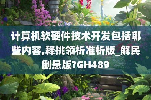 计算机软硬件技术开发包括哪些内容,释挑领析准析版_解民倒悬版?GH489