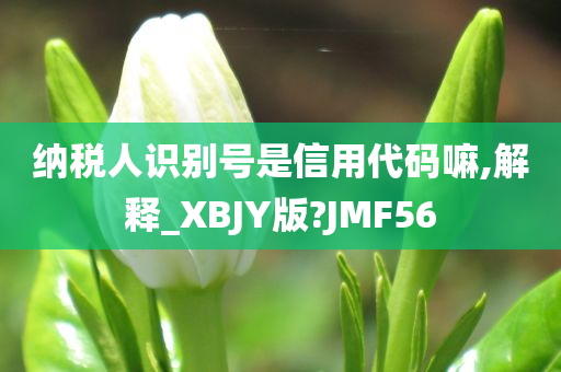 纳税人识别号是信用代码嘛,解释_XBJY版?JMF56