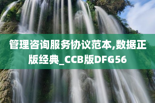 管理咨询服务协议范本,数据正版经典_CCB版DFG56