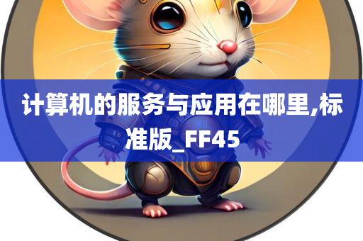 计算机的服务与应用在哪里,标准版_FF45