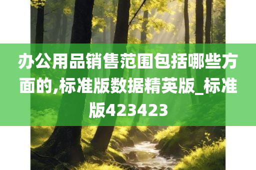 办公用品销售范围包括哪些方面的,标准版数据精英版_标准版423423