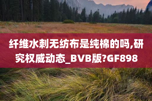 纤维水刺无纺布是纯棉的吗,研究权威动态_BVB版?GF898