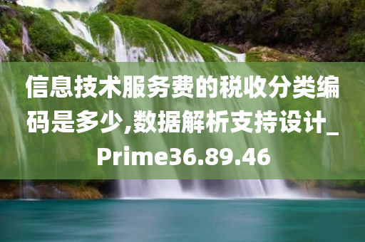 信息技术服务费的税收分类编码是多少,数据解析支持设计_Prime36.89.46