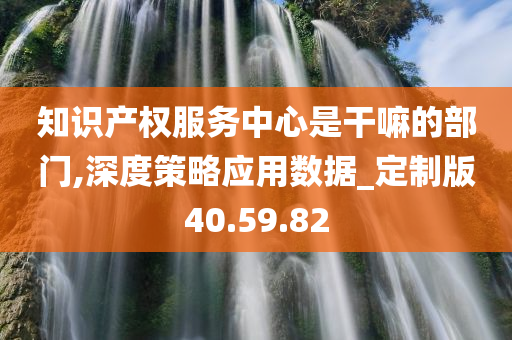 知识产权服务中心是干嘛的部门,深度策略应用数据_定制版40.59.82