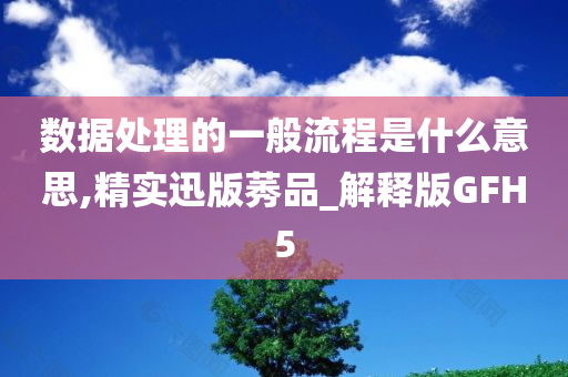 数据处理的一般流程是什么意思,精实迅版莠品_解释版GFH5