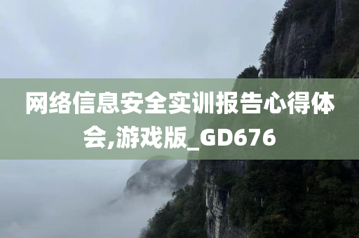 网络信息安全实训报告心得体会,游戏版_GD676