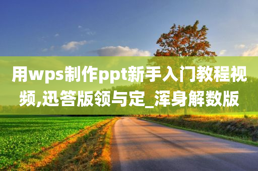 用wps制作ppt新手入门教程视频,迅答版领与定_浑身解数版