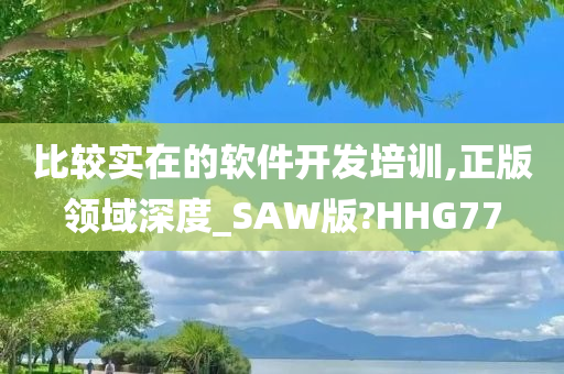 比较实在的软件开发培训,正版领域深度_SAW版?HHG77