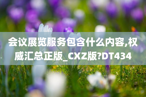 会议展览服务包含什么内容,权威汇总正版_CXZ版?DT434