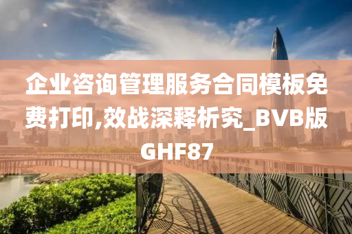 企业咨询管理服务合同模板免费打印,效战深释析究_BVB版GHF87