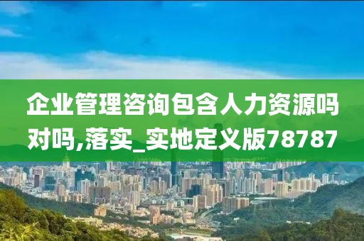 企业管理咨询包含人力资源吗对吗,落实_实地定义版78787