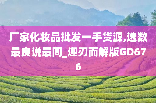 厂家化妆品批发一手货源,选数最良说最同_迎刃而解版GD676