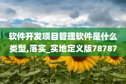 软件开发项目管理软件是什么类型,落实_实地定义版78787