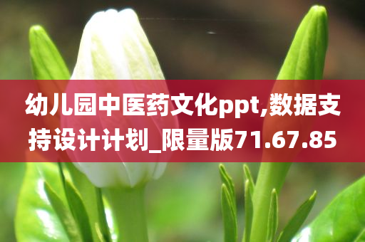 幼儿园中医药文化ppt,数据支持设计计划_限量版71.67.85