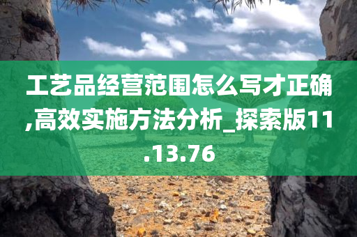 工艺品经营范围怎么写才正确,高效实施方法分析_探索版11.13.76