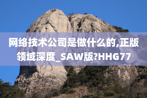 网络技术公司是做什么的,正版领域深度_SAW版?HHG77