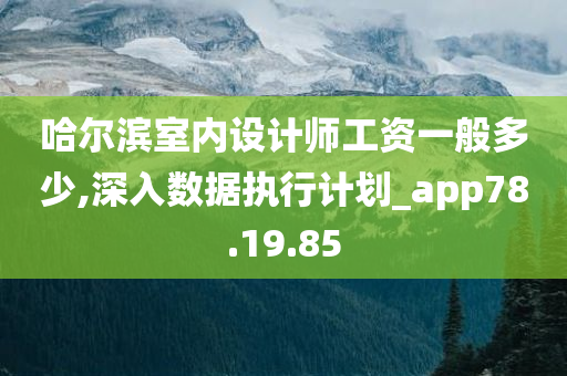 哈尔滨室内设计师工资一般多少,深入数据执行计划_app78.19.85