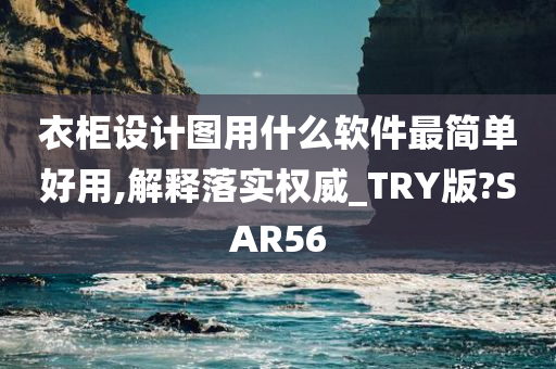 衣柜设计图用什么软件最简单好用,解释落实权威_TRY版?SAR56