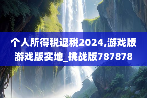 个人所得税退税2024,游戏版游戏版实地_挑战版787878