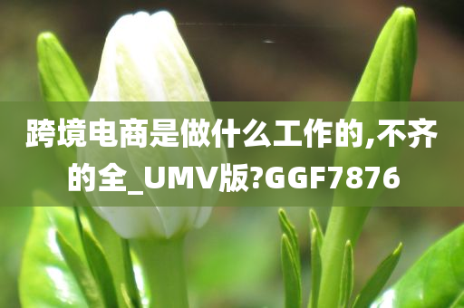 跨境电商是做什么工作的,不齐的全_UMV版?GGF7876