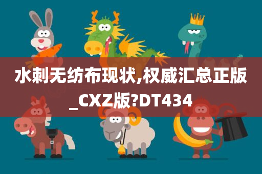 水刺无纺布现状,权威汇总正版_CXZ版?DT434