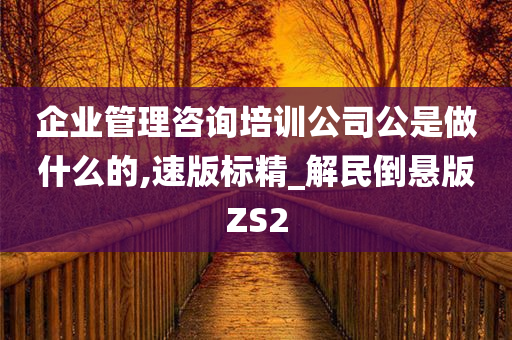 企业管理咨询培训公司公是做什么的,速版标精_解民倒悬版ZS2