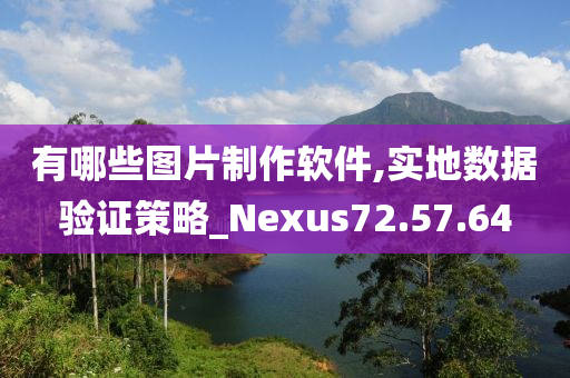 有哪些图片制作软件,实地数据验证策略_Nexus72.57.64