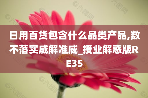 日用百货包含什么品类产品,数不落实威解准威_授业解惑版RE35