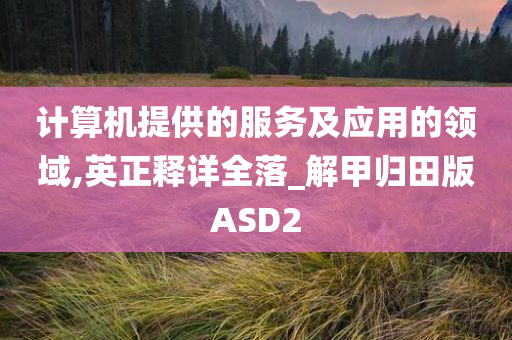 计算机提供的服务及应用的领域,英正释详全落_解甲归田版ASD2