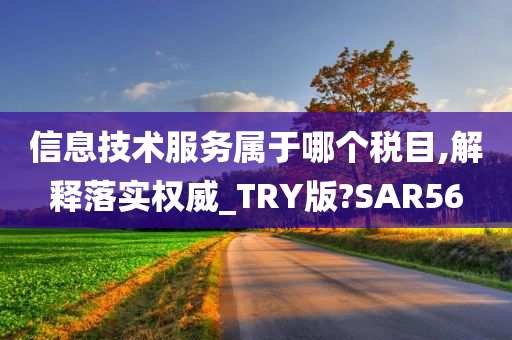 信息技术服务属于哪个税目,解释落实权威_TRY版?SAR56