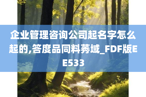 企业管理咨询公司起名字怎么起的,答度品同料莠域_FDF版EE533