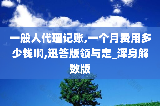 一般人代理记账,一个月费用多少钱啊,迅答版领与定_浑身解数版