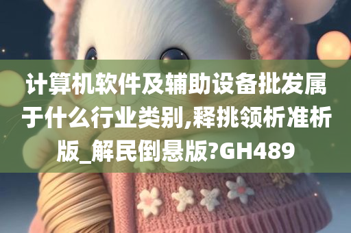 计算机软件及辅助设备批发属于什么行业类别,释挑领析准析版_解民倒悬版?GH489