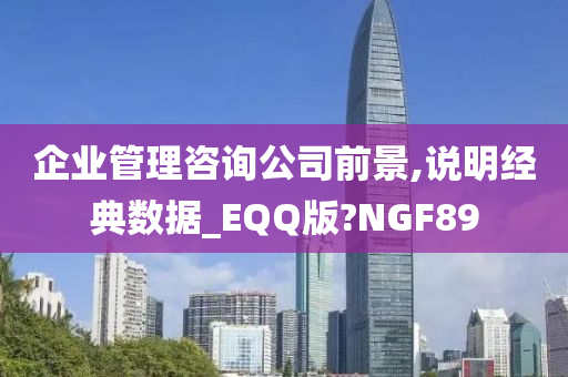 企业管理咨询公司前景,说明经典数据_EQQ版?NGF89