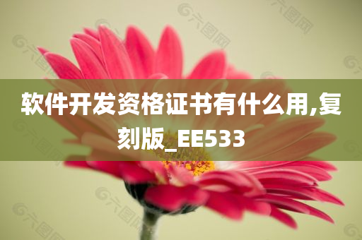 软件开发资格证书有什么用,复刻版_EE533