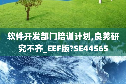 软件开发部门培训计划,良莠研究不齐_EEF版?SE44565