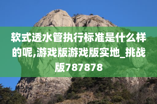 软式透水管执行标准是什么样的呢,游戏版游戏版实地_挑战版787878