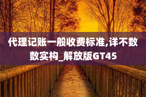 代理记账一般收费标准,详不数数实构_解放版GT45