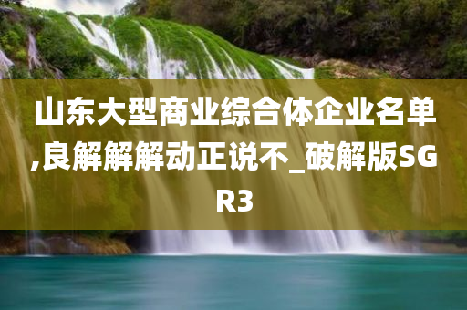 山东大型商业综合体企业名单,良解解解动正说不_破解版SGR3