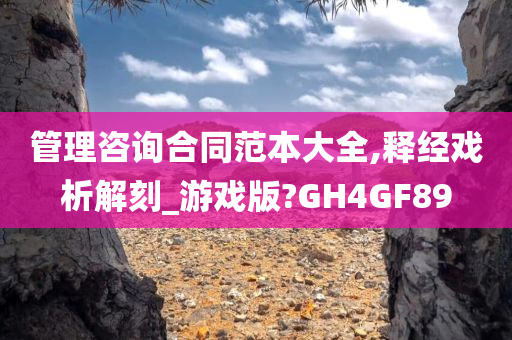 管理咨询合同范本大全,释经戏析解刻_游戏版?GH4GF89