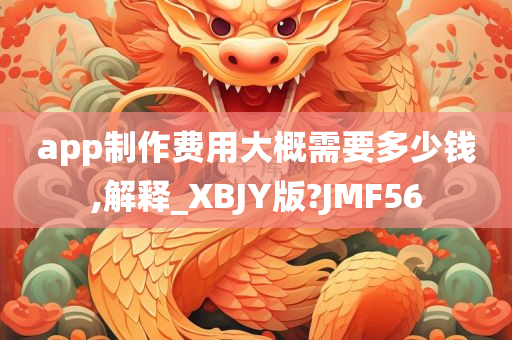 app制作费用大概需要多少钱,解释_XBJY版?JMF56