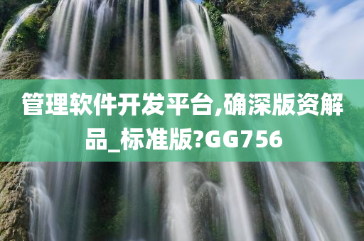 管理软件开发平台,确深版资解品_标准版?GG756