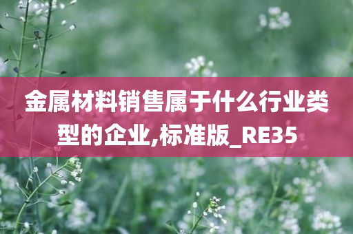 金属材料销售属于什么行业类型的企业,标准版_RE35